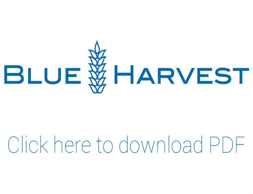 blueharvest windows